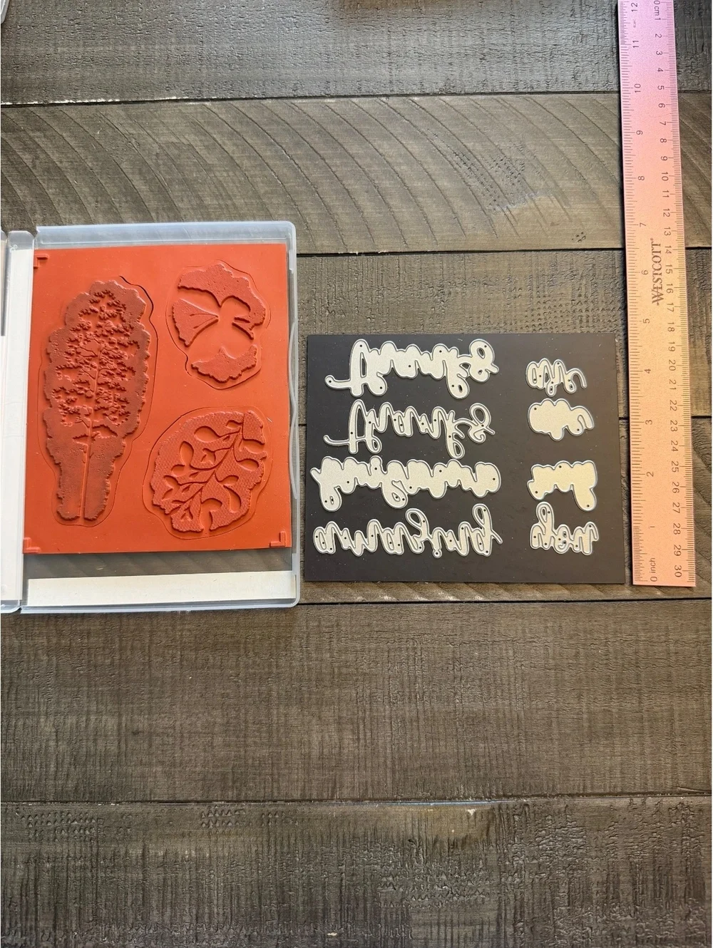 Stampin’ Up Amazing Silhouettes stamp set and Amazing Thanks Dies die cut set